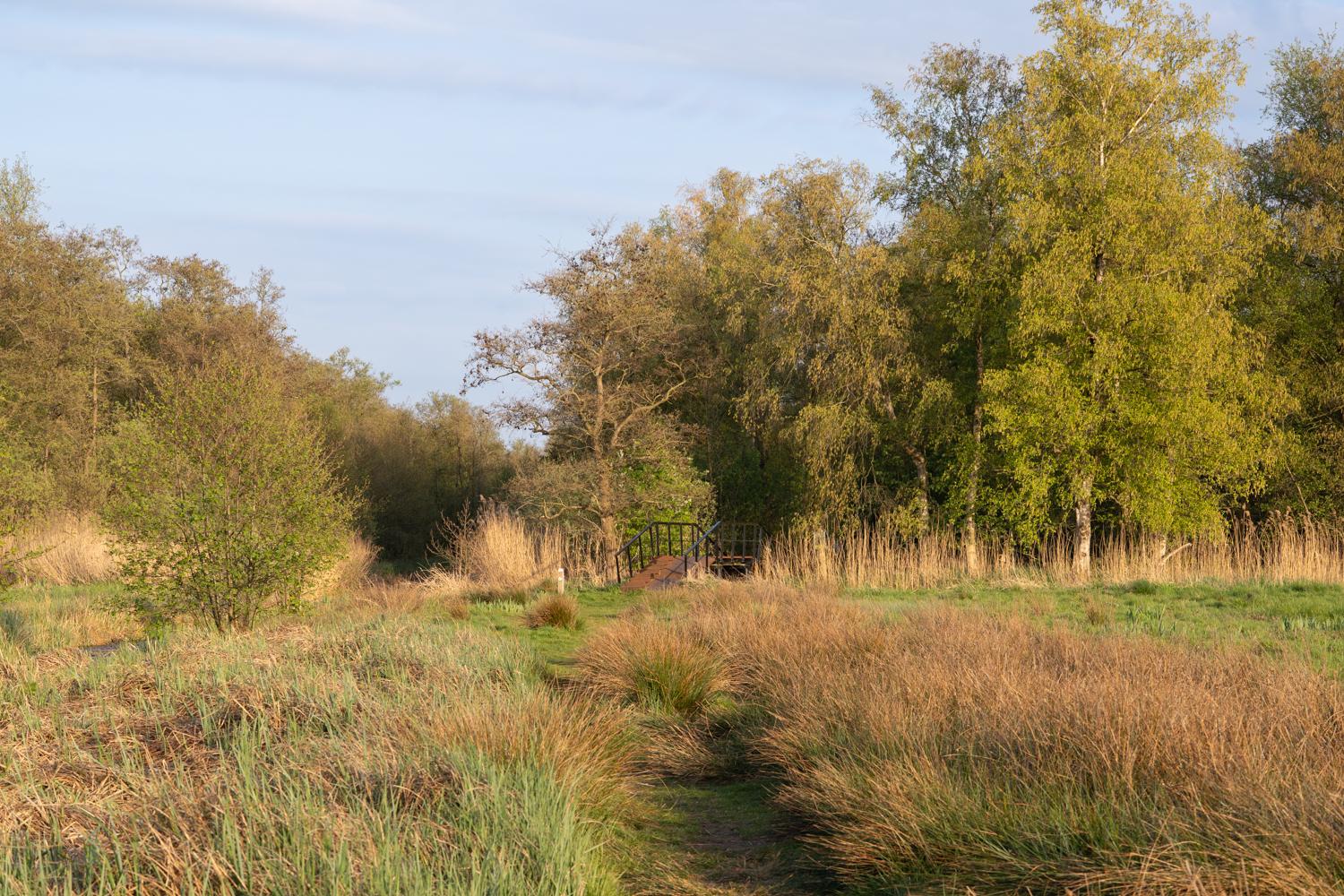 Weiland bij kerkje aan de dijk kortenhoef